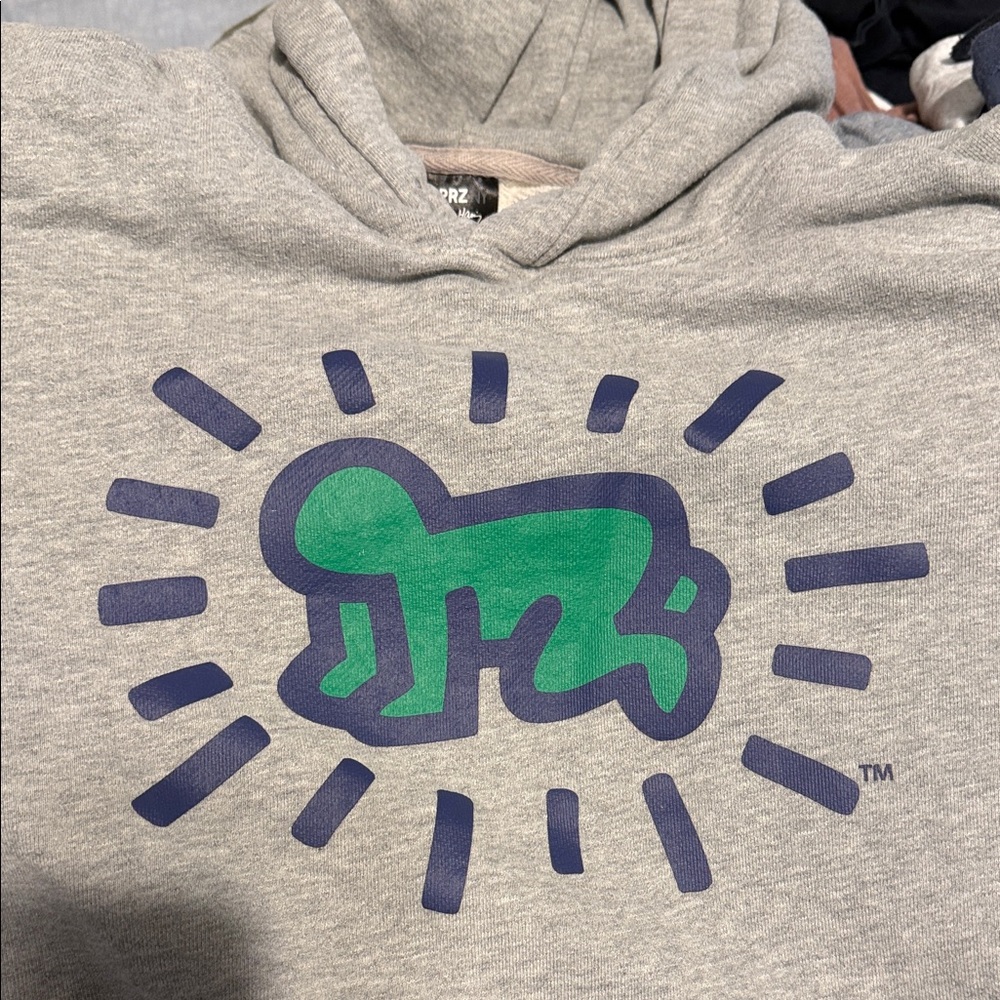 Uniqlo Gray Hoodie with Green and Blue Design